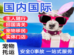肥东白龙航空快递国际宠物托运 【国